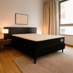 Set de Cama Colchón + Base - Varios Tamaños