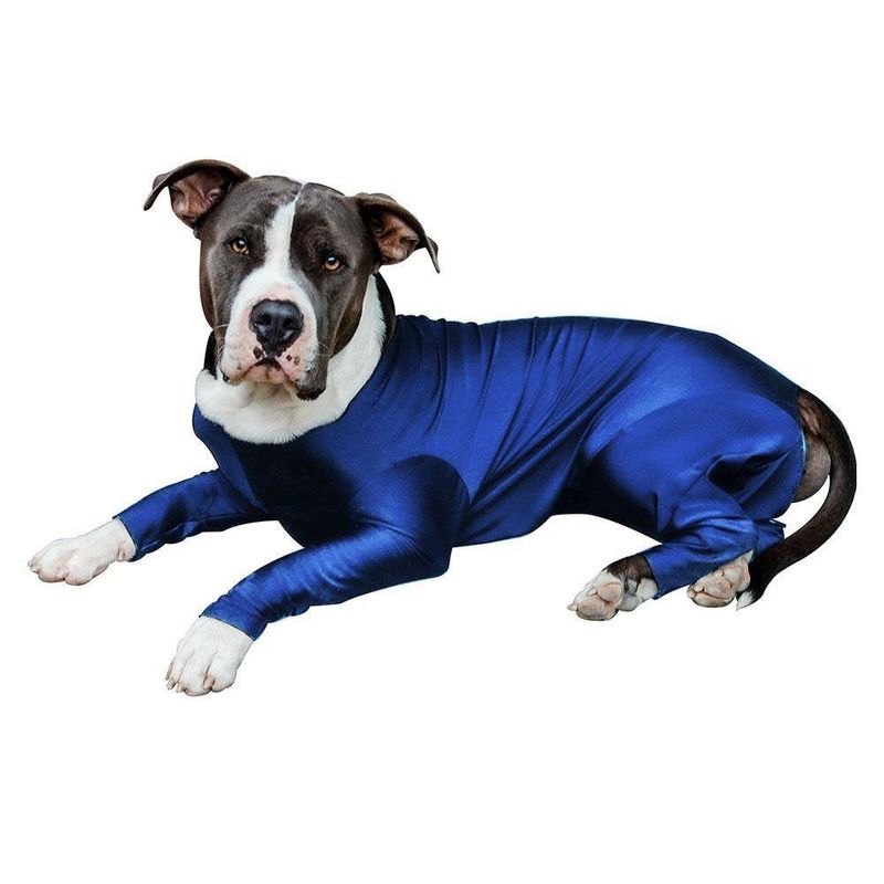 Traje Antiestrés Para Perro Azul - Scuba Varias Tallas