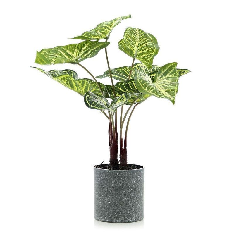 Planta Con Pote 40 Cm