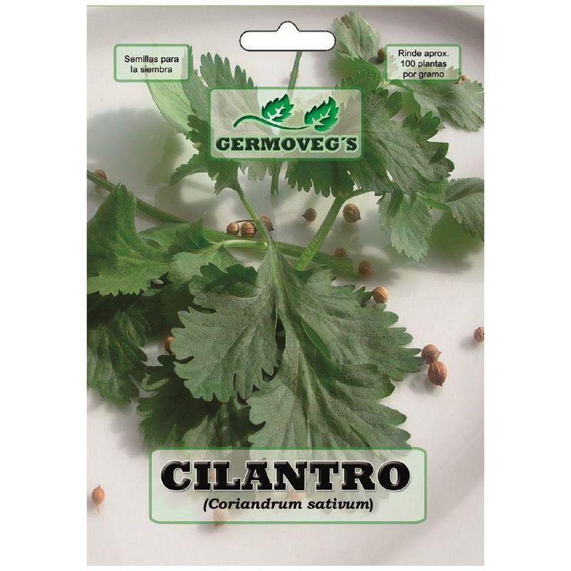 Semilla De Cilantro