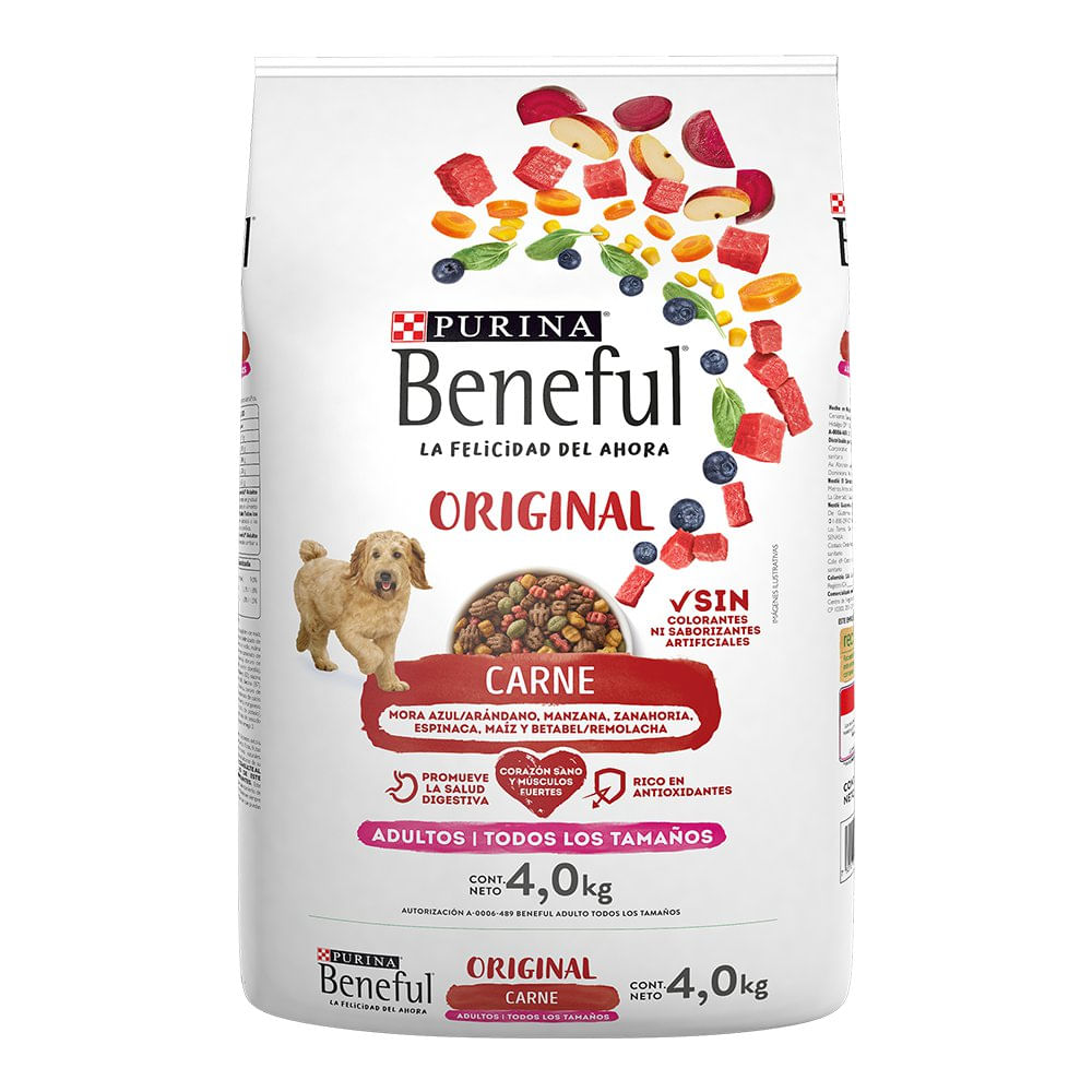 Beneful best sale cachorro salmon