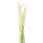 Ramas Artesanales 1.25 Mt. Alto 7 Tall - Kotz'ijal