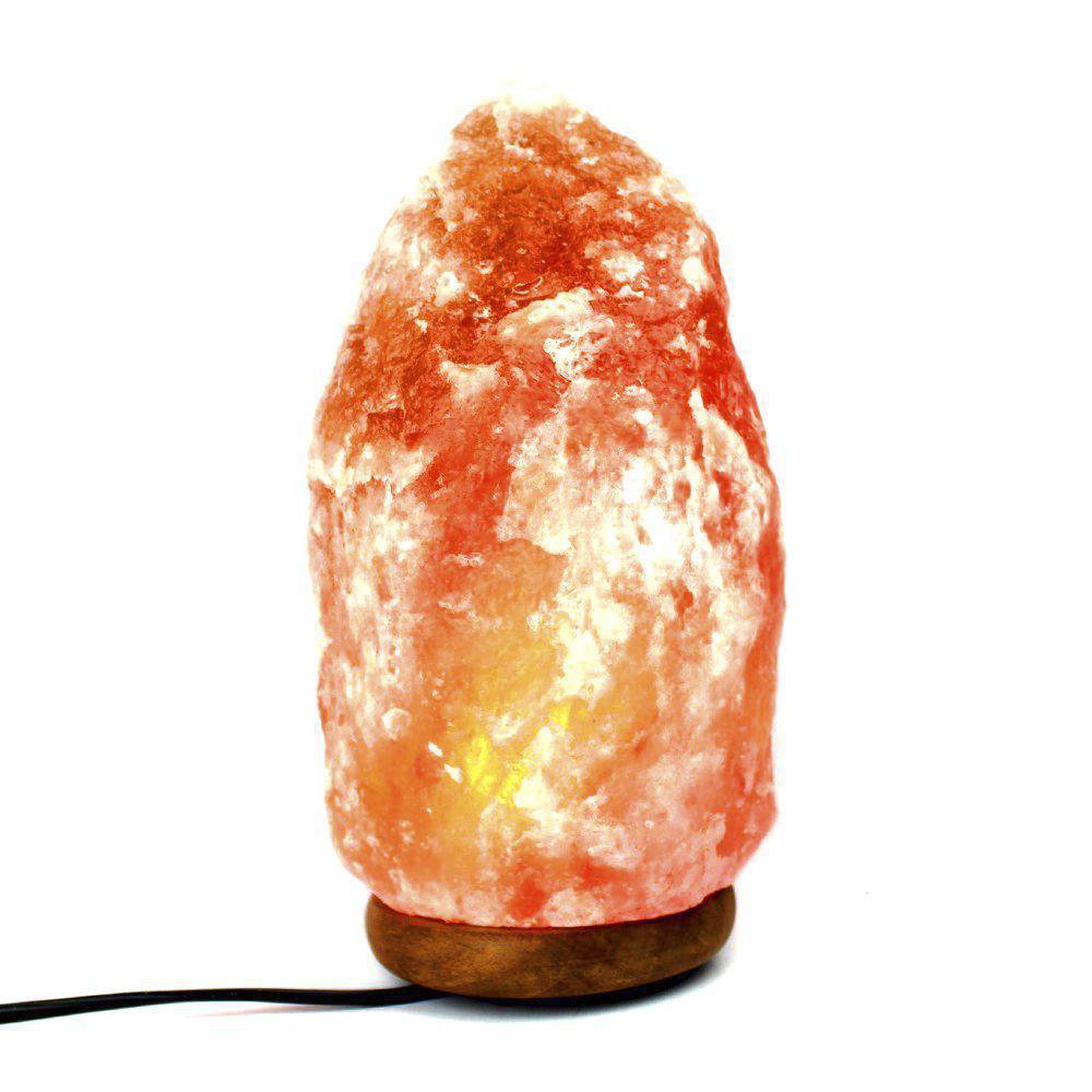 Lámpara Concha de Sal Pulida - Natural - Himalaya - Online