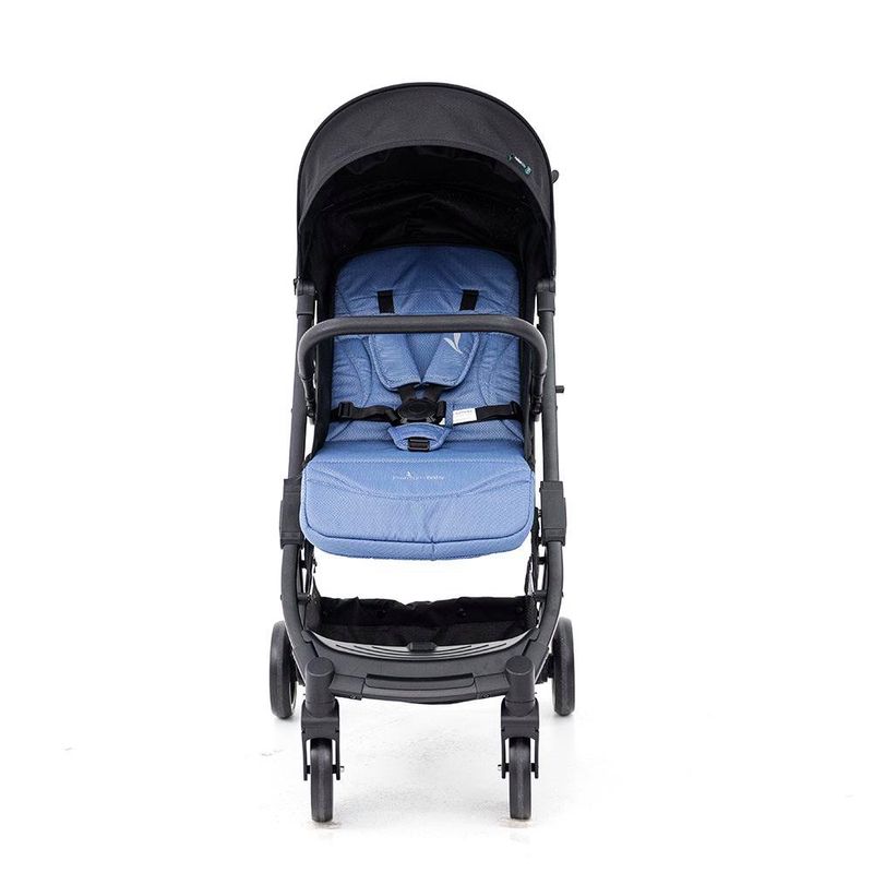 Carruaje De Paseo Argus - Premium Baby Varios Colores