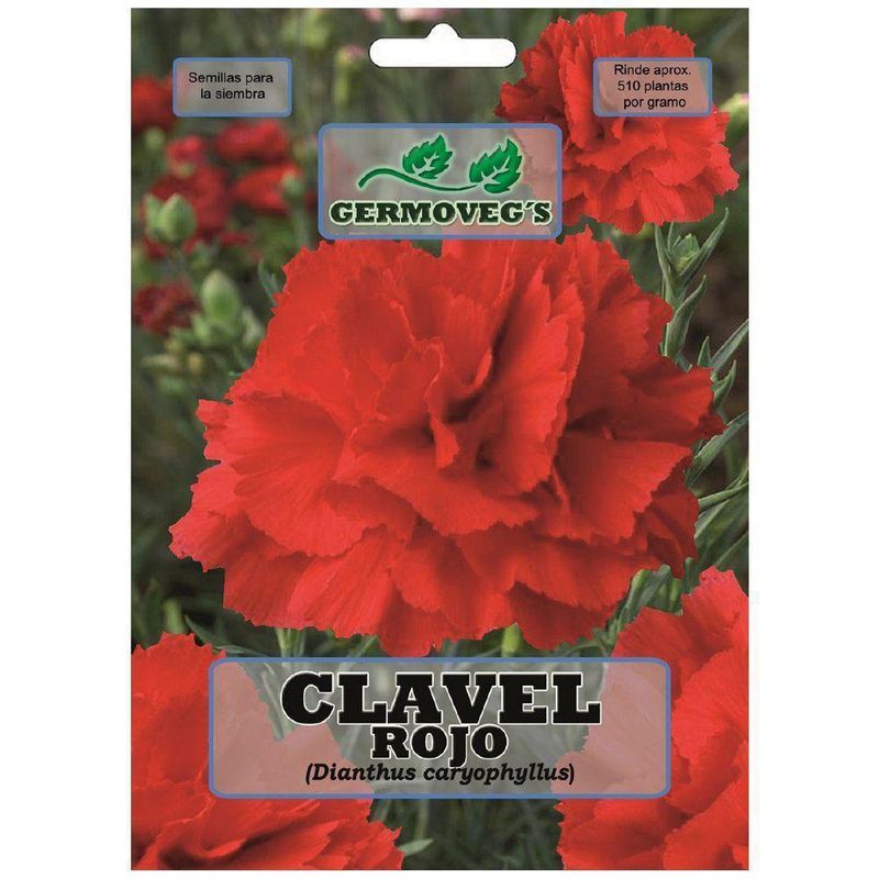 Semilla De Clavel Rojo - Germoveg´S