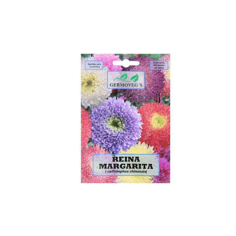 Semilla De Reina Margarita - Germovegs