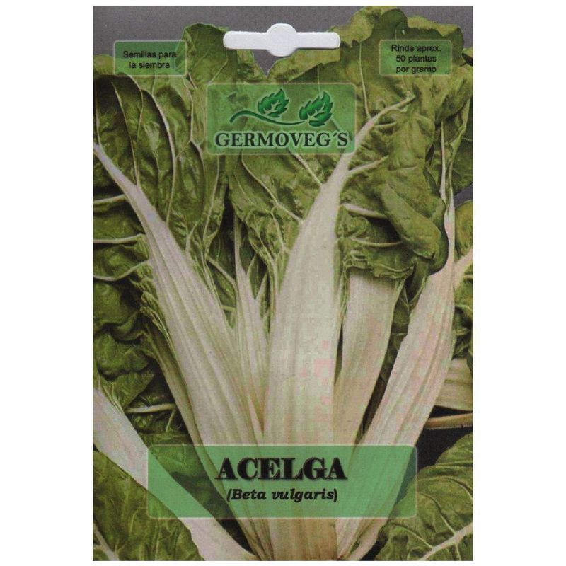 Semilla De Acelga - Germovegs