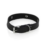 Collar De Cuero 33Cmx1.5 Cm Dog Lover