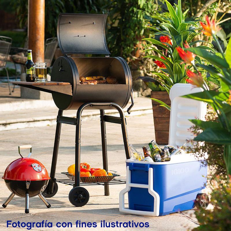Churrasquera a Carbón de Pie Pequeña