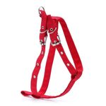 Arnés Talla L - Pet Town