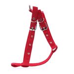 Arnés Talla L - Pet Town