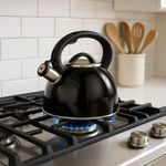 Tetera de Acero Inoxidable Negra 3 L
