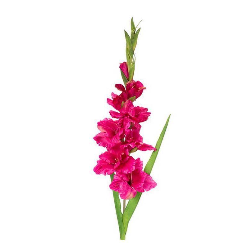 Gladiola Artificial Fucsia 93 Cm - Concepts