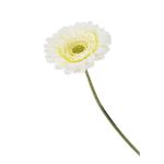 Margarita Artificial Blanca 65 Cm - Concepts
