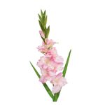 Flor Artificial Rosada 93 Cm - Concepts