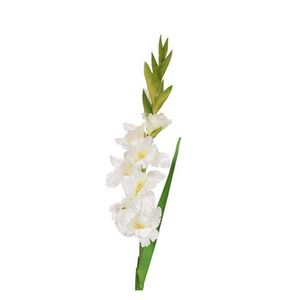 Gladiola Artificial Blanca