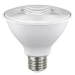 Reflector Led Para Exterior Luz De Día De 8 W - Tecnolite