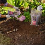 Tierra Negra 50 Lb - La Cuya