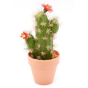 Cactus Artificial decorativo en Maceta con Flores