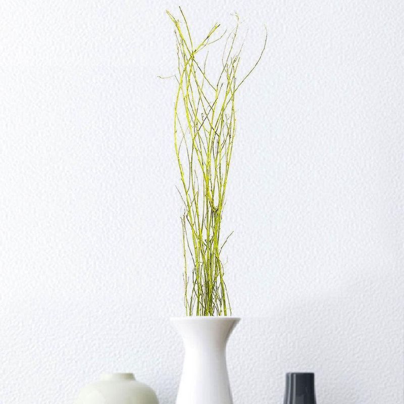 Ramas Artesanales 1.25 Mt. Alto 7 Tall - Kotz'ijal