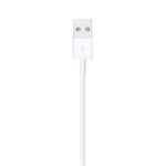 Cable Lightning A Usb De 2 Mts - Apple