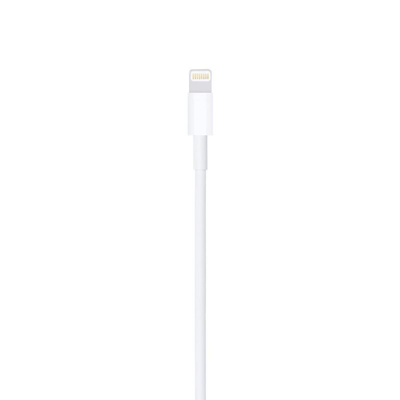 Cable Lightning A Usb De 2 Mts - Apple