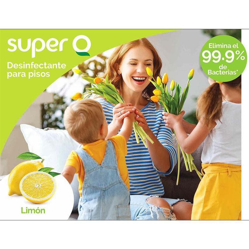 Desinfectante Para Frutas Y Verduras 500 Ml - Super-Q Expert - Cemaco