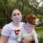 Set De Mascarilla Y Bandana Para Mascota Diseños Surtidos - Spot