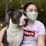 Set De Mascarilla Y Bandana Para Mascota Diseños Surtidos - Spot