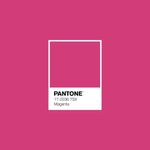 Botella-De-Tinta-GI-13-Magenta---Canon