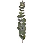 Rama Artificial Colgante De Eucalipto Verde - Concepts