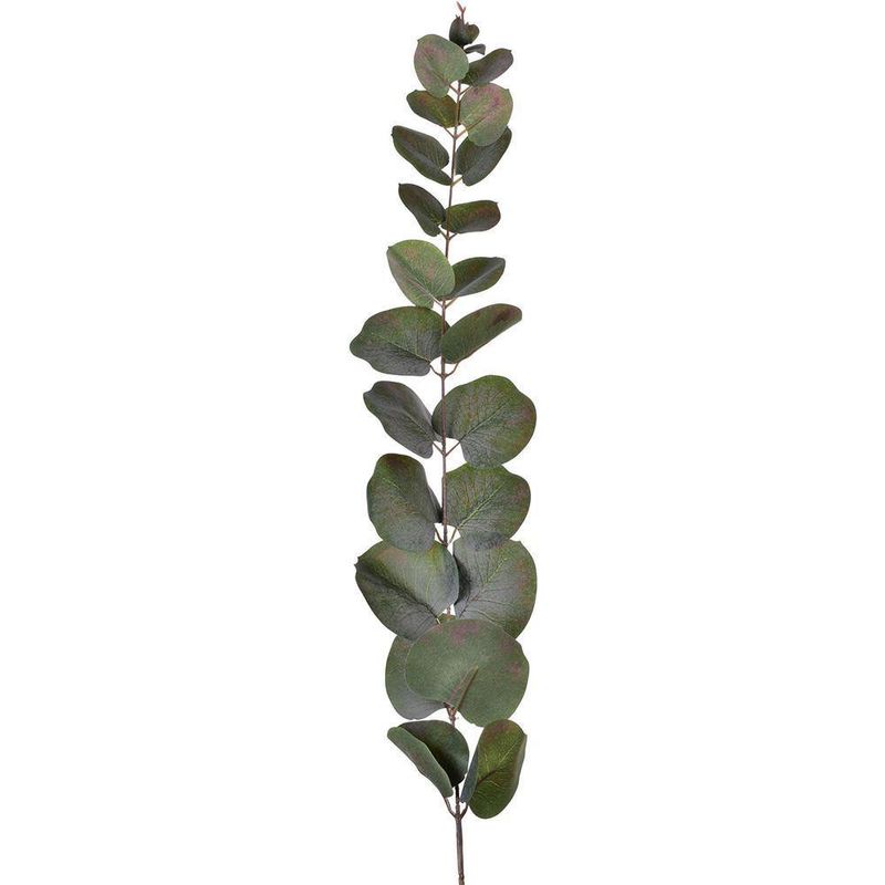 Rama Artificial Colgante De Eucalipto Verde - Concepts
