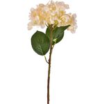 Flor Artificial Hortensia Crema - Concepts
