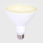 Reflector Para Exterior Led Par30 Luz Cálida Base E27 De 10 W - Tecnolite