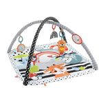 Gimnasio De Actividades Musicales 3 En 1 - Fisher Price