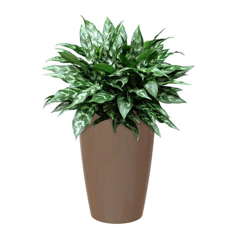Maceta Santorini De Plástico 78 Cm - Artevasi Varios Colores