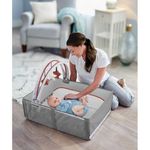 Corral Anywhere Dream Marlo Gris - Graco