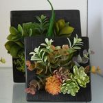Mix De Plantas Artificiales Con Base 12 X 12 X 7 Cm - Concepts