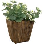Planta Con Pote De 19X30 Cm - Concepts