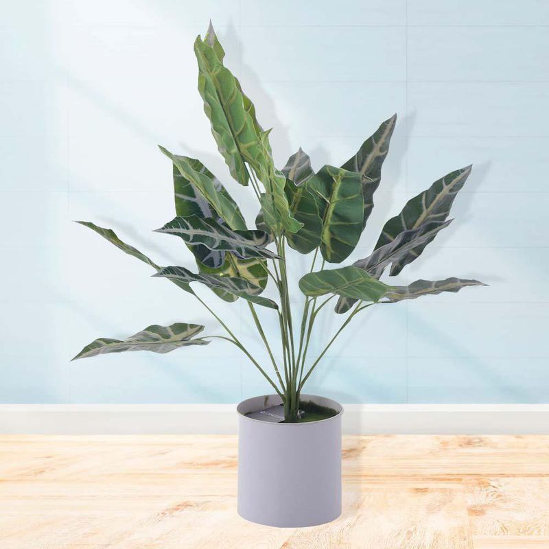 Planta Con Pote 40 Cm - Concepts