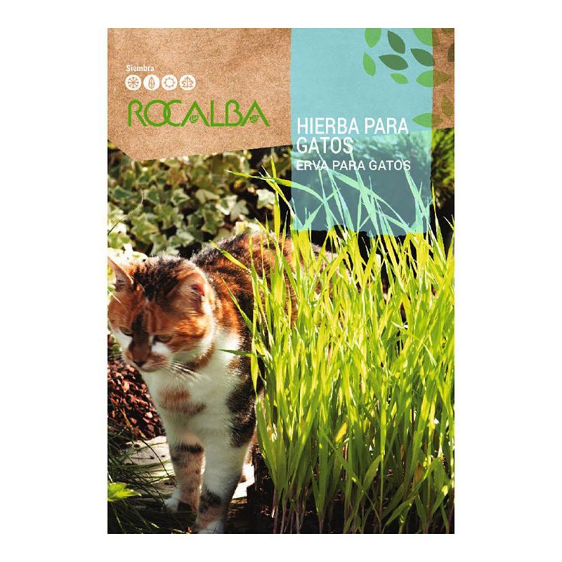 Semilla De Hierba Para Gato 10 G - Rocalba