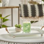 Vela En Frasco Grande Vanilla Lime 567 G - Yankee Candle