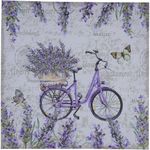 Cuadro Decorativo Bibicleta Morada 80x3x80 Cm - Concepts
