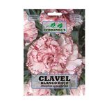 Semilla De Clavel Blanco/Rojo - Germoveg´S