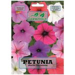 Semilla De Petunia Enana - Germovegs