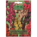 Semilla De Estaticia Mix - Germovegs