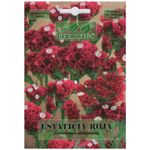 Semilla De Estaticia Rojo - Germovegs