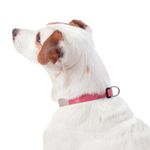 Collar Ajustable Mylu XS - Totto