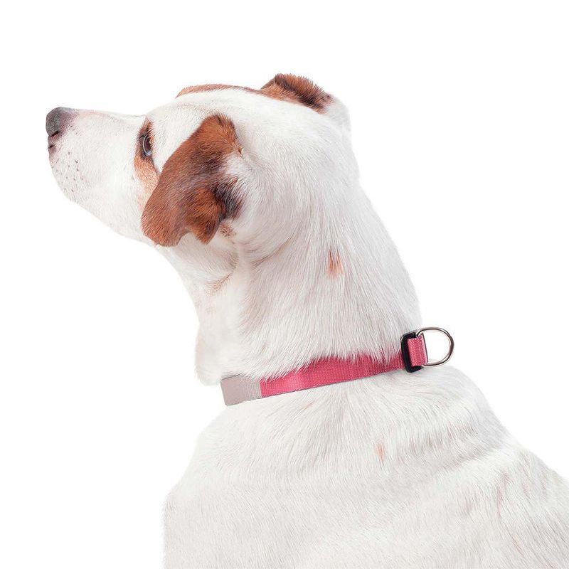 Collar Ajustable Mylu XS - Totto