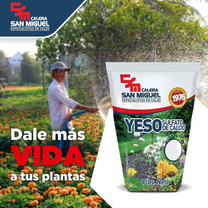 Cal Para Suelo Hidratada 8 Lb - Calera San Miguel, S.A.